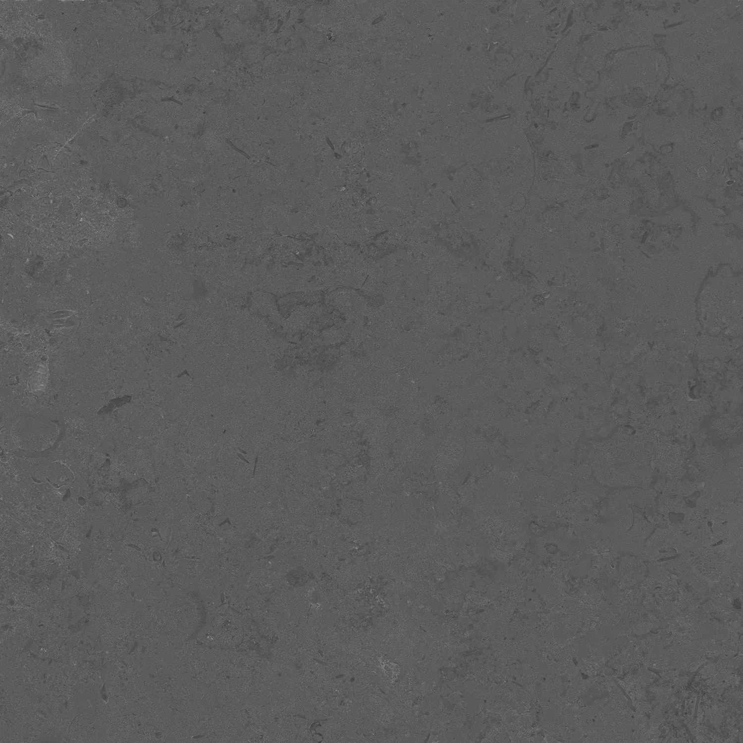 Керамогранит DD640800R Про Лаймстоун серый темный натуральный обрезной R10 60х60