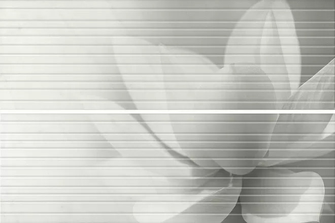 Плитка HGD/A200/2x/12102R Борсари 50х75